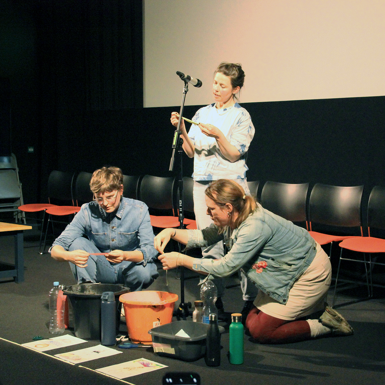 A descriptive caption for the image